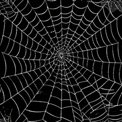White cobweb on a black background, texture, seamless pattern