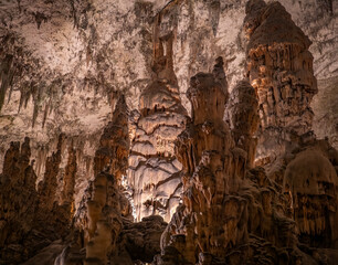 The cave Postojna Cave in Slovenia.