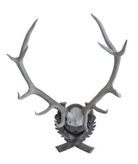 Naklejka premium The vintage antlers on white, isolated.