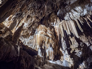 The cave Postojna Cave in Slovenia