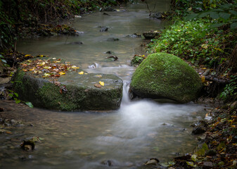 The waterfall in green forest