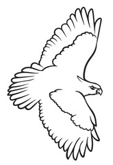 Illustration of eagle, hawk, falcon. drawing with line art on white backgrounds. Simple Design Outline Style. You can give color you like. Vector Illustrations