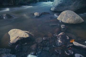 River stream in the mountains. Mountain river stream in woods