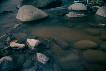 River stream in the mountains. Mountain river stream in woods
