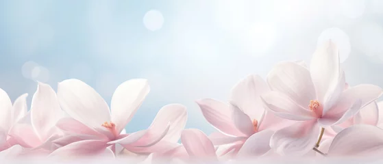 Foto op Canvas Spring elegance with ultra wide banner with soft pastel petals, perfect background with copy space © IonelV