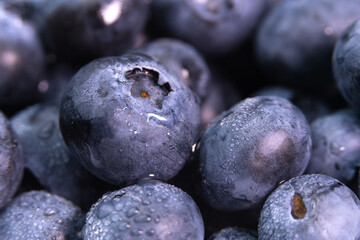 Macro photography, background of ripe juicy large blueberries with water droplets. Blueberry...