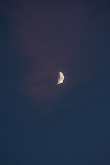 Obraz na płótnie Canvas Half moon. Night photography
