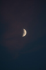 Half moon. Night photography