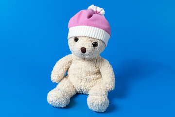 Toy in the form of a soft polar bear in a cap
