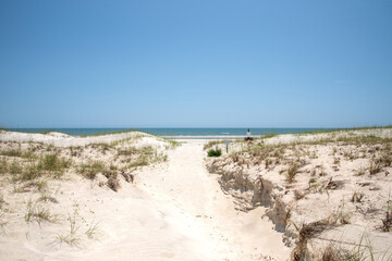 Fototapeta na wymiar White sandy beaches of Cumberland Island National Seashore