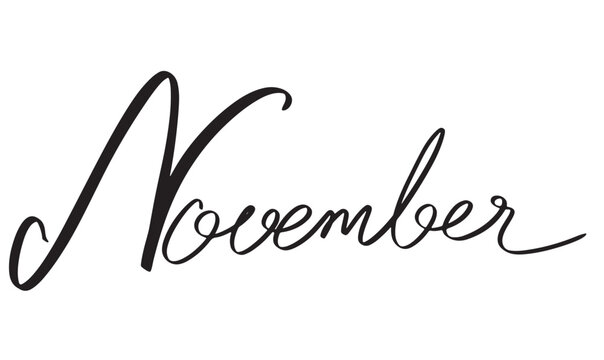 November month calligraphy text font hand written sign symbol decoration ornament november vector ilustration lettering typography thanksgiving  november black friday event party word drawn print 