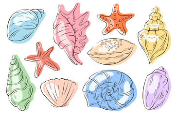 Undersea seashell set line art style. Summer design of scallop, starfish and seashells for sea food restaurant, fish menu, logo, package. Vector illustration isolated on a white background.