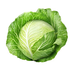 cabbage isolated on white background png