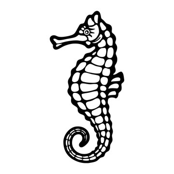 seahorse line vector illustration