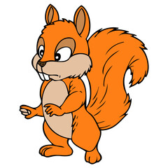  squirrel vector illustration