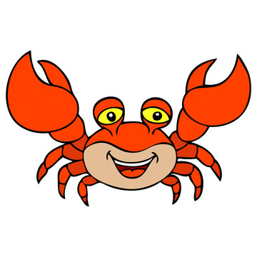 crab vector illustration