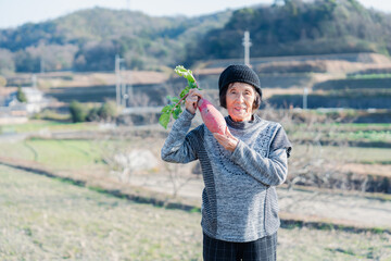 畑で野菜を持つ高齢の女性