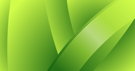 abstract green curve background for business