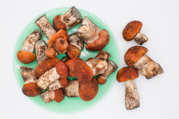 Edible mushrooms on a green plate. White background.