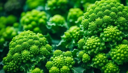 Romanesco Broccoli, known for its fractal patterns and bright green color, with a flavor