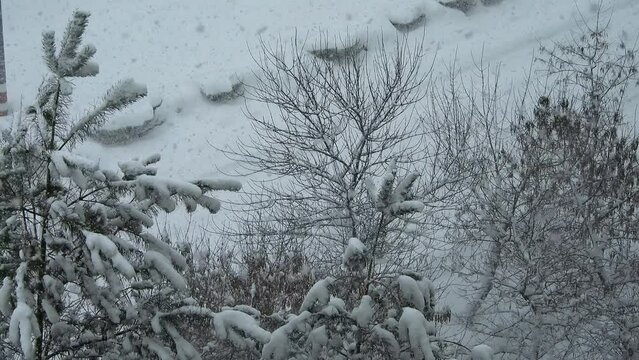 Snowfall reaches critical levels. Snowfall continues. Snow level mark