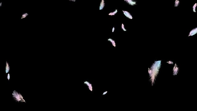 Falling colorful pastel feathers. Abstract animation. Black background. 25fps