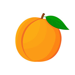 An image of a peach from different directions. Vector illustration in a flat style. Whole, half and sliced peach with bone.