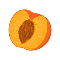 An image of a peach from different directions. Vector illustration in a flat style. Whole, half and sliced peach with bone.