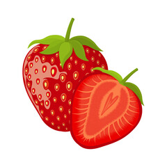 Fresh bright exotic whole and half cut strawberry isolated on white background. Summer fruits for healthy lifestyle. Organic fruit. Flat style. Vector illustration for any design.