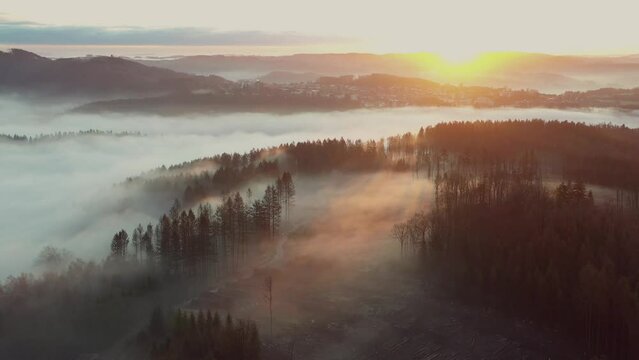 Flug &uuml;ber nebeligen Wald im Morgenlicht