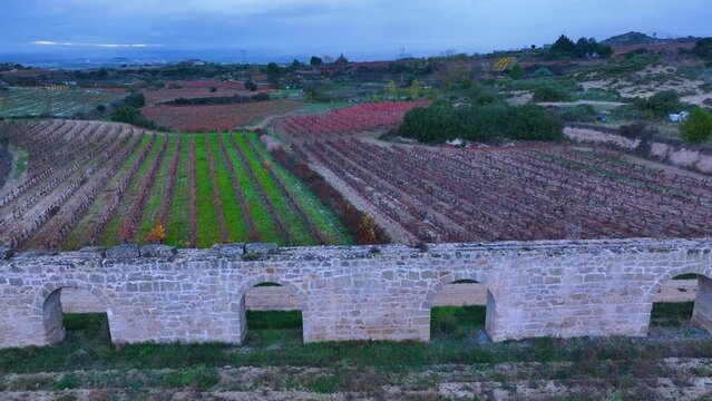 San Andr&eacute;s de Muga aqueduct between vineyards in autumn in Labastida in the province of Alava. Aerial view from a drone. Basque Country, Spain, Europe