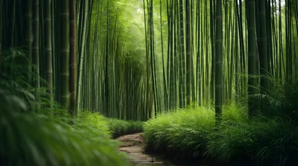Gordijnen bamboo forest in the morning © Gohgah