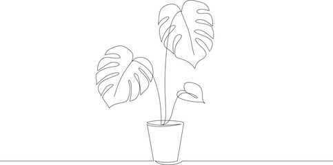 hand drawn monstera tropical leaf line art vector © The Little Foot