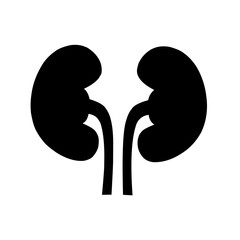 human kidney icon vector on white background