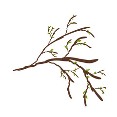 Twig tree branch with leaves