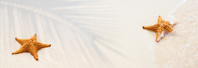 Fototapeta na wymiar Art Sandy tropical beach background with starfish and water wave