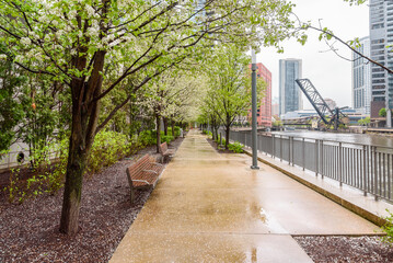 Deserted tree lined path along a river in a downtown district on a rainy spring day
