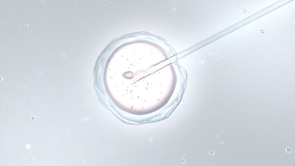 Injecting sperm directly into the egg, artificial insemination or in vitro fertilization. 3D illustration.