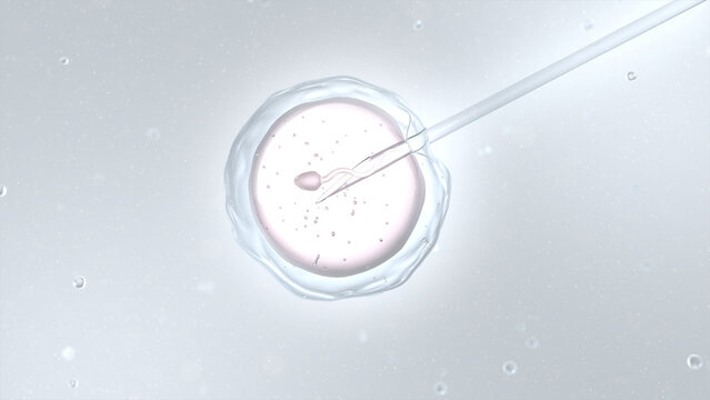 Injecting sperm directly into the egg, artificial insemination or in vitro fertilization. 3D illustration.
