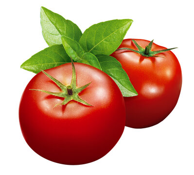 composi&ccedil;&atilde;o com tomates vermelhos maduros acompanhado de folhas de manjeric&atilde;o isolado em fundo transparente