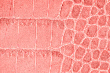Fototapeta premium Genuine leather texture with imitation of exotic reptile with pink surface, trendy background