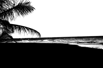 vector beach sea sunset ocean coastline Brazilian nature sea waves, dawn sunrise