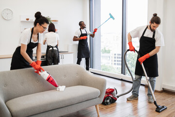 Professional team of people of cleaning service cleans sofa, carpet, cuisine table and panoramic...
