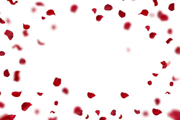 Fototapeta na wymiar Red rose collection set of petals isolated on a transparent background. Red flower petals png. Floating red rose petal. Love valentines day postcard