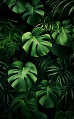 natural green leaf tropical plant background with monstera leaves wallpaper design
