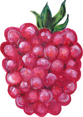 Watercolor gouache elements food fruit vegetable grocery and farmer