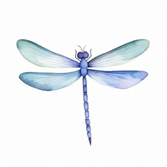 Aqaurell einer blauen Libelle mit ausgebreiteten Flügeln Illustration