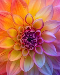 Colorful Flower With Abundant Petals