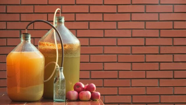 Apple cider production. Foam of cider in the bottle,  Fermentation. Apple wort in a fermentation jar with an original air lock. Making homemade apple cider. Farmer produces cider outdoors