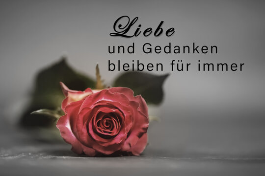 Eine Trauerkarte mit einer Rose und einer Schrift: "Liebe und Gedanken bleiben f&uuml;r immer."